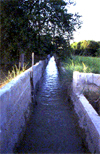 Proyecto de cooperación ACEQUIA