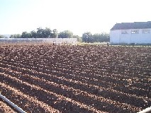 Vista  del Campo Bajo.Umbráculo al fondo