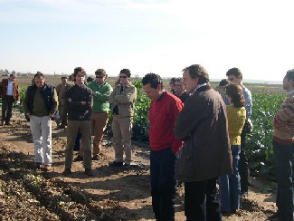 Reunión del Foro Hortofrutícola:Impulsar el cultivo de hortalizas para no depender de las ayudas