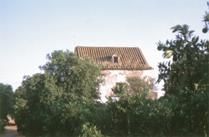 El GDR Medio Guadalquivir coordina un proyecto para poner en valor las huertas tradicionales