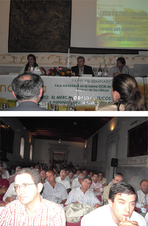 Se analizó el mercado de la naranja en el  2º seminario del panel sobre el Futuro de los Cítricos
