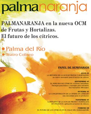 Próximo seminario de Palmanaranja, lunes 3 de diciembre de 2007