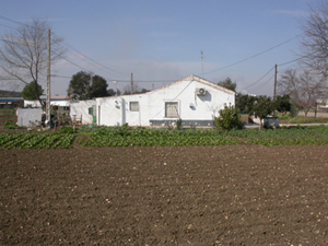 El programa de Canal Sur 