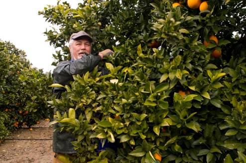 Citricultores de la comarca reciben de nuevo asesoramiento en riego durante la Campaña 2009