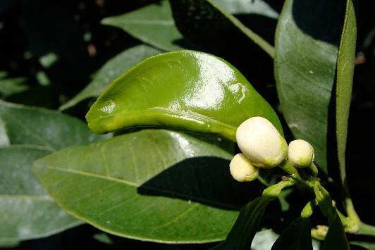 El blog viajero de Miradas de Andalucía visita el Medio Guadalquivir
