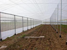 El GDR Medio Guadalquivir instala 1000 m2 de cultivos bajo plástico en el campo de demostración