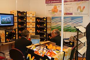 "Naranjas del Valle del Guadalquivir" participa en la Tercera Edición de España Original