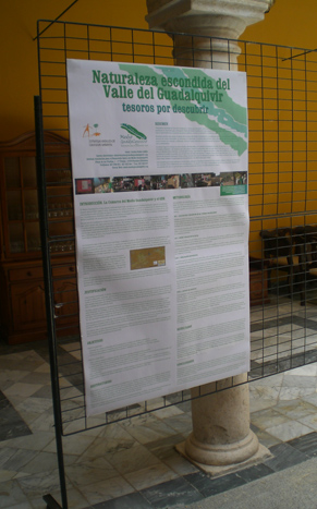 Presentada la segunda fase del proyecto "Naturaleza escondida del Valle del Guadalquivir"