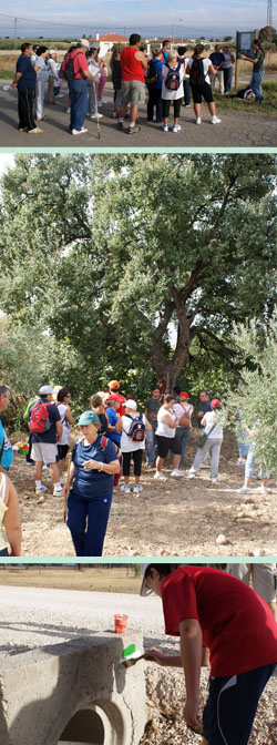 Asociaciones locales señalizan una ruta senderista entre Las Pinedas y El Arrecife