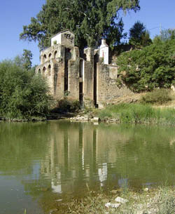 Buscamos voluntarios para reforestar el paraje de Las Grúas (El Carpio)