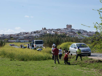 Voluntarios carpeños reforestan el camino de San Pedro y el paraje de Las Grúas