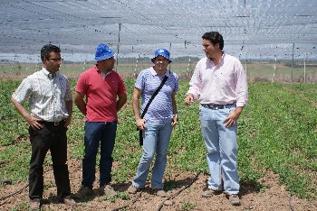 Trabajadores del Grupo Leche Pascual visitan el umbráculo en conversión a Ecológico