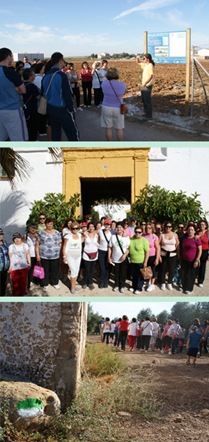 Asociaciones locales colaboran con el GDR para señalizar la Ruta de los Molinos en Fuente Palmera