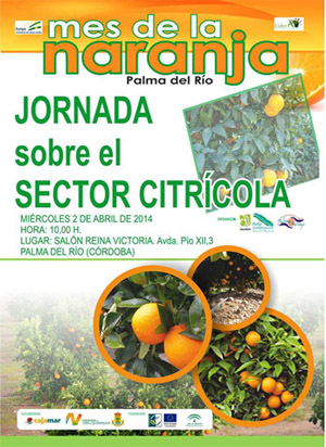 Jornada sobre el sector citrícola en Palma del Río